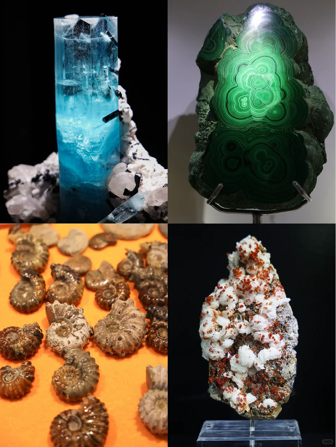 真正的「宝藏」展?南京矿博会太好逛啦?