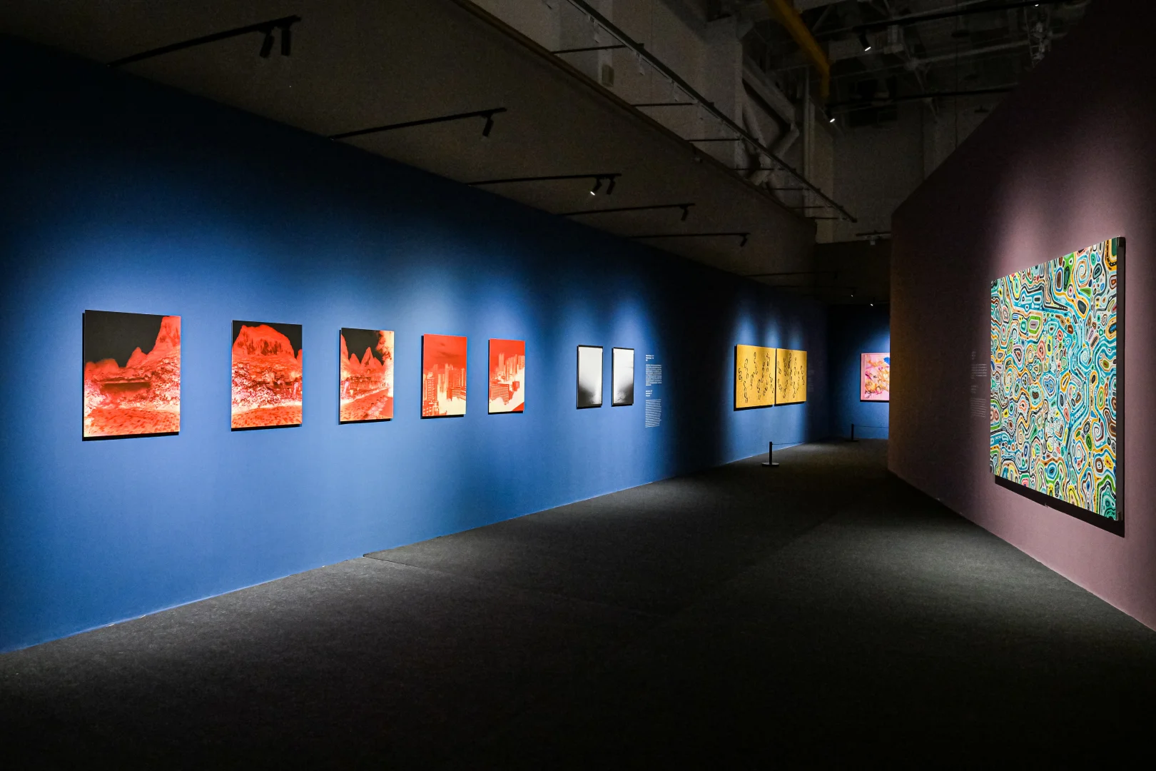 周日闭展！错过再等一年！