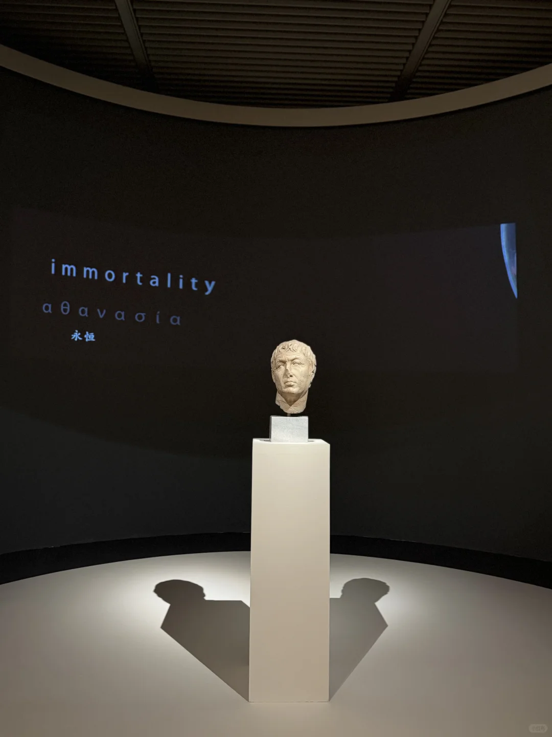 国博攻略之没有抢到基础陈列展怎么办？