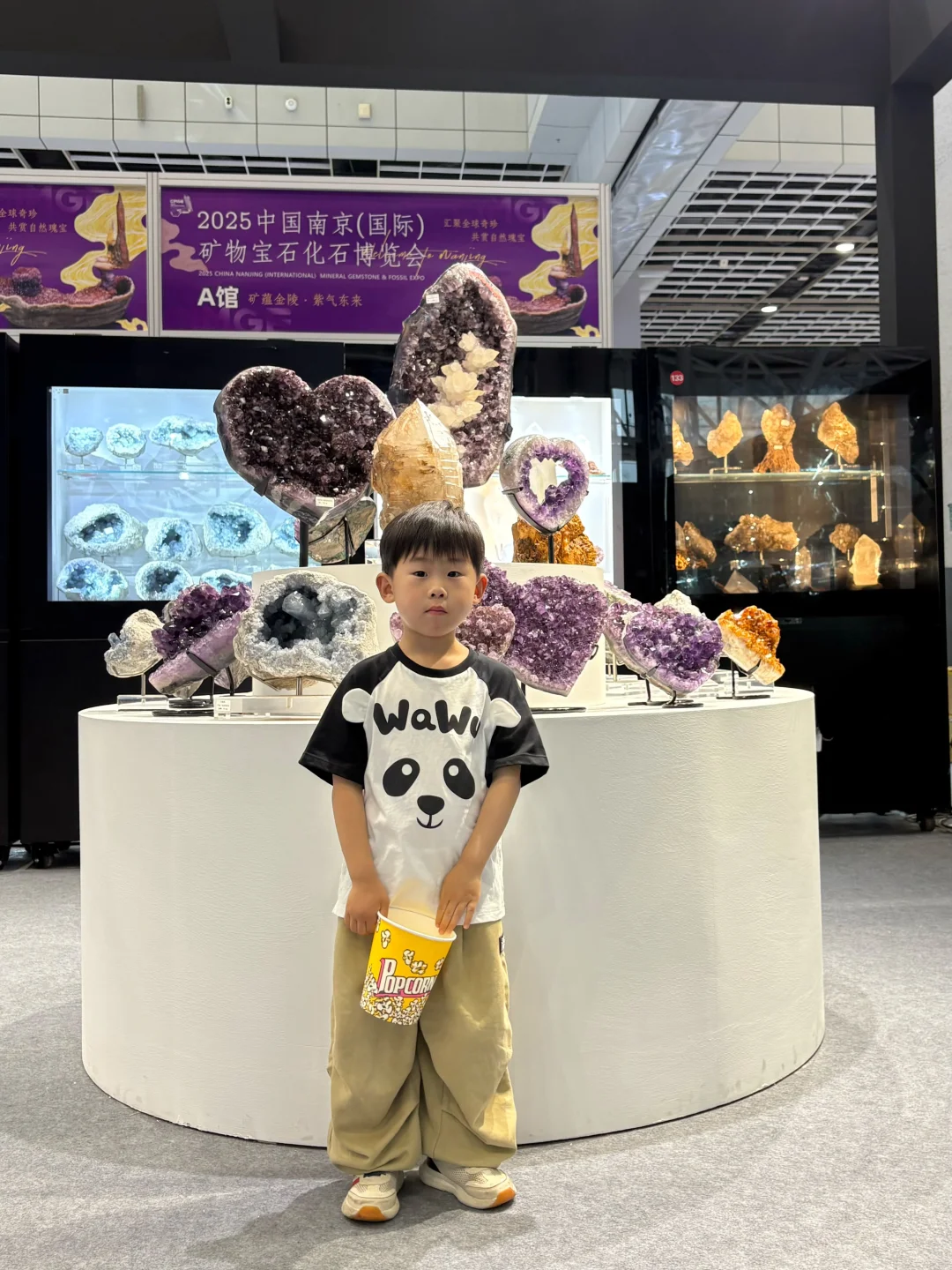 二刷南京矿博会了