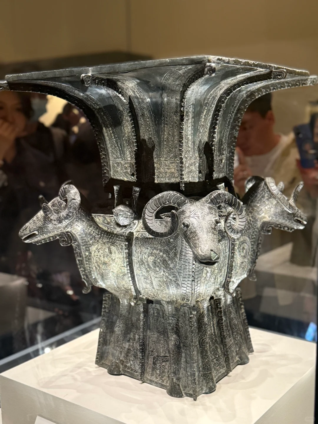 国博攻略之没有抢到基础陈列展怎么办？