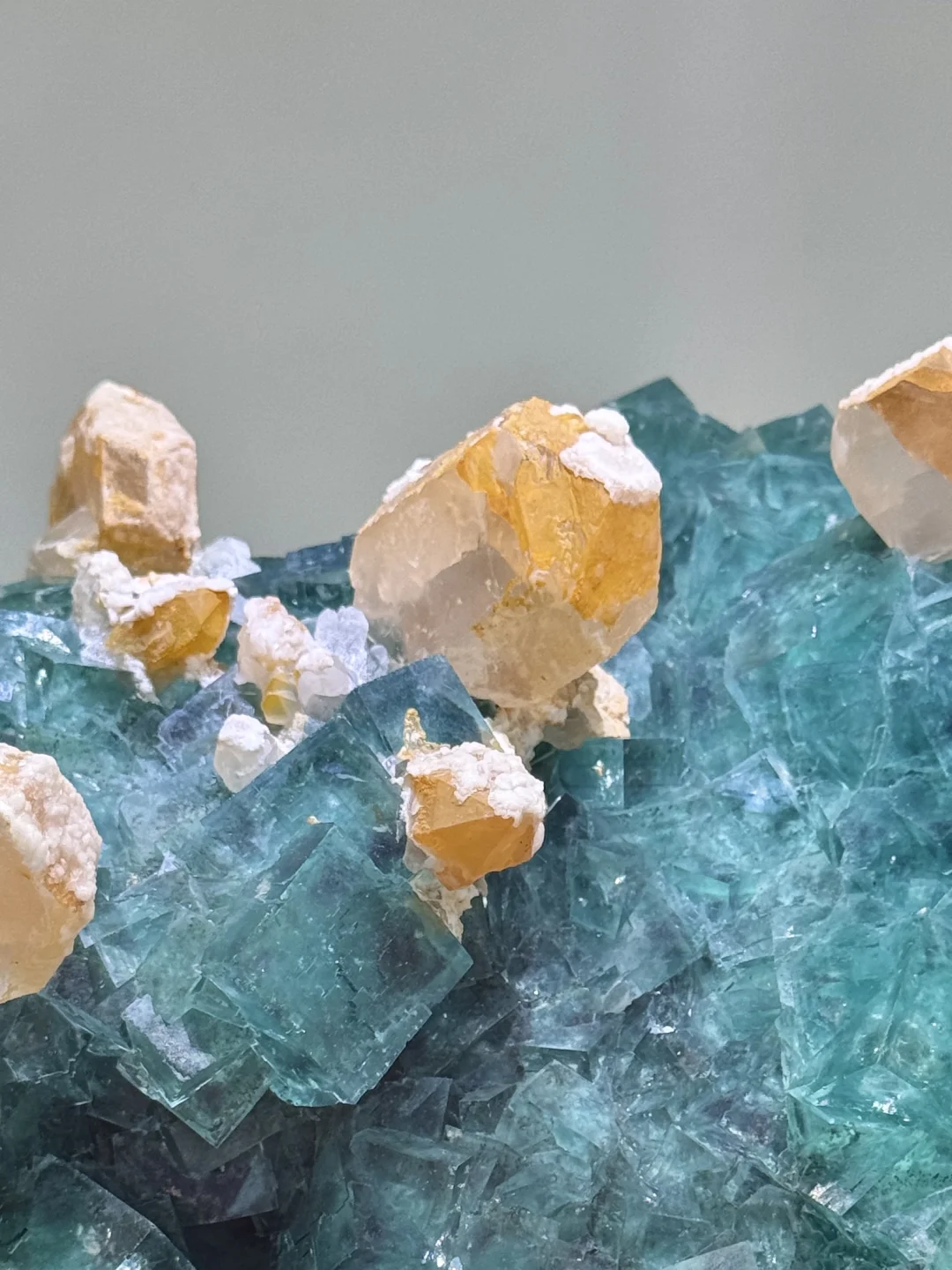 南京矿博会上大自然的壮阔惊奇与小可小爱