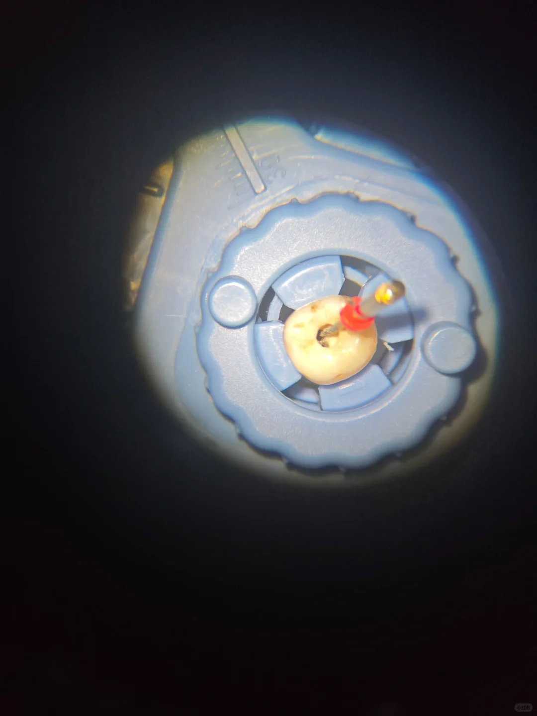 2025口腔展!你们来了么?