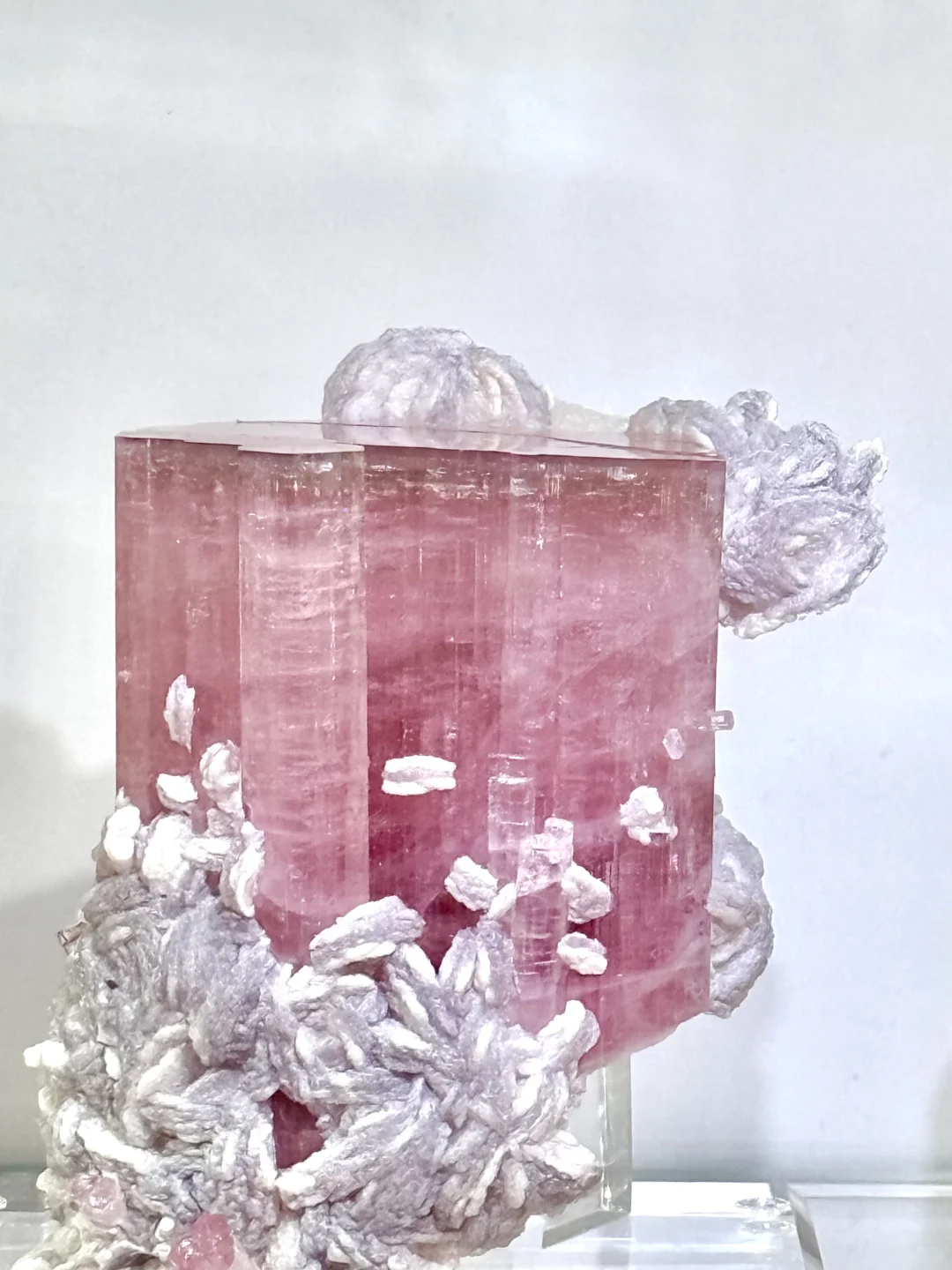 南京矿博会上大自然的壮阔惊奇与小可小爱