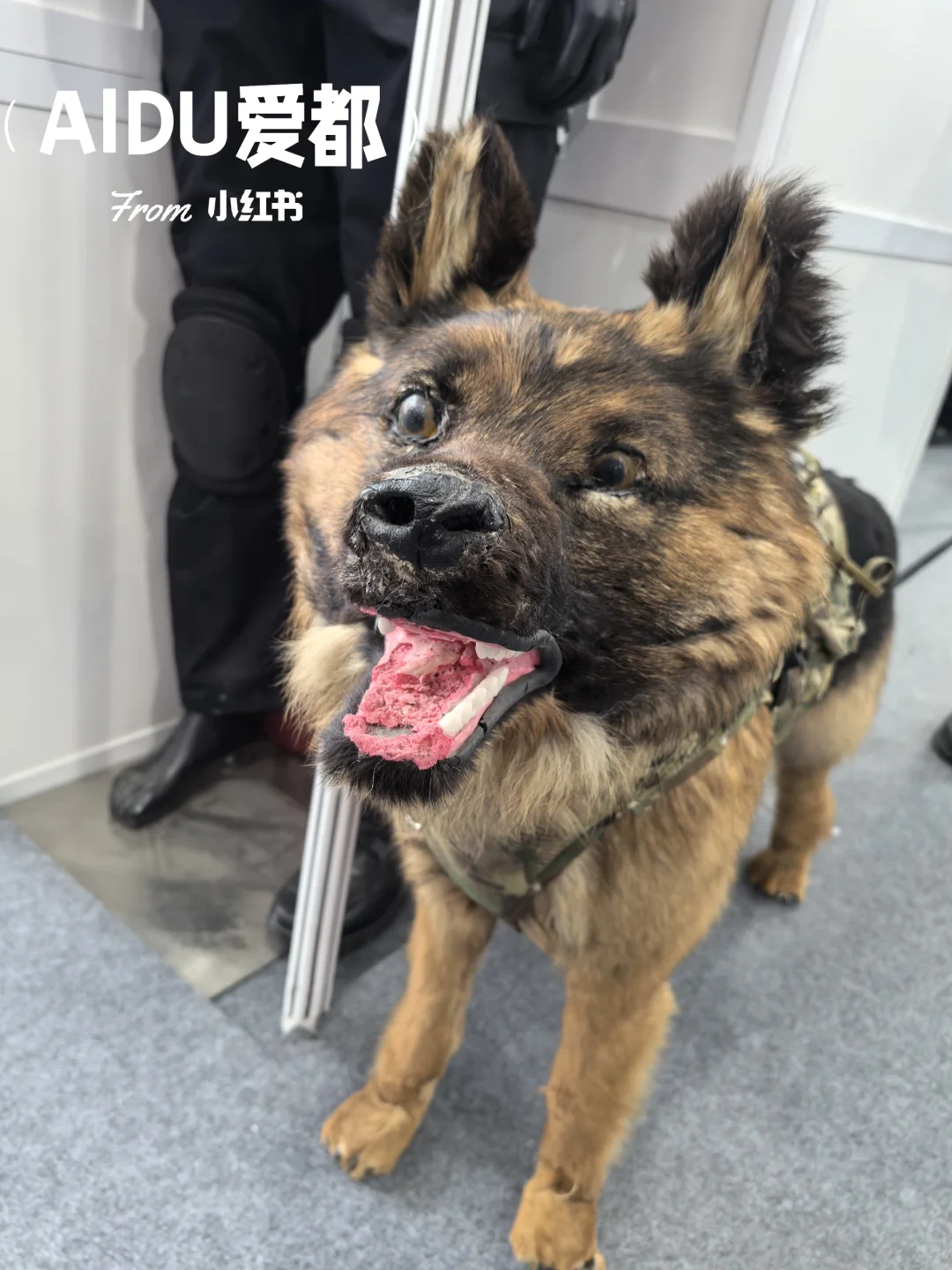 北京首钢园超棒！警博会观展 免费领取礼品