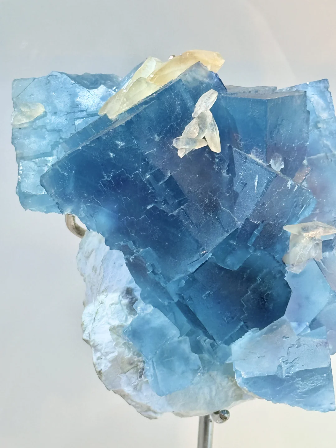 南京矿博会上大自然的壮阔惊奇与小可小爱