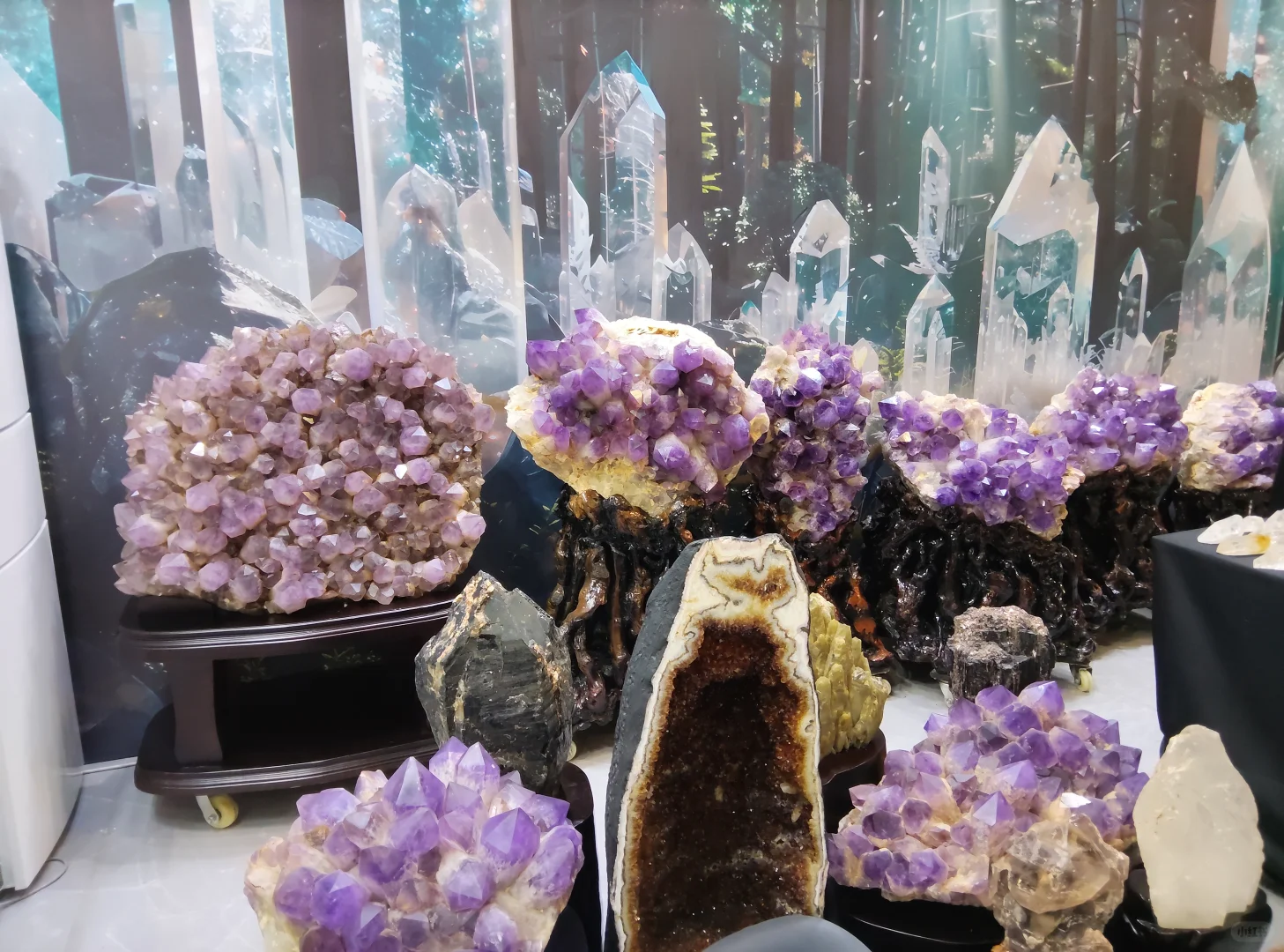 ?上海疗愈博览会