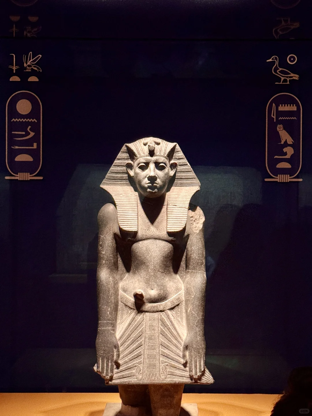 限时90天｜上海埃及展保姆级攻略 避开人挤人