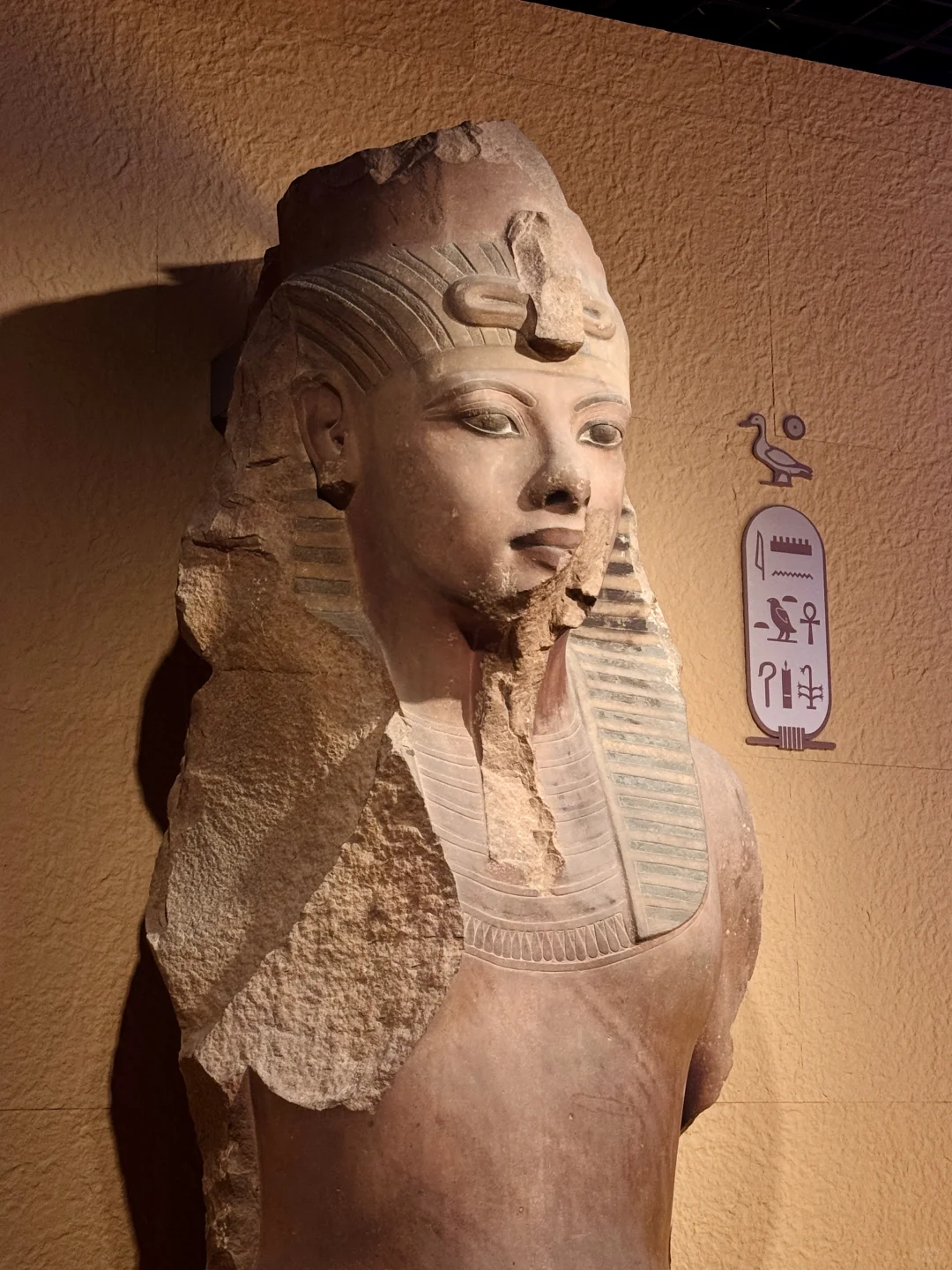 限时90天｜上海埃及展保姆级攻略 避开人挤人