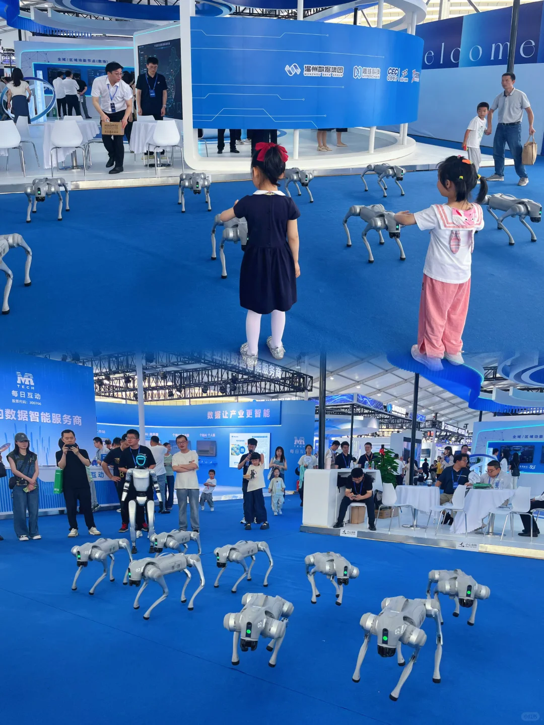 温州遛娃｜来和机器人打个招呼吧