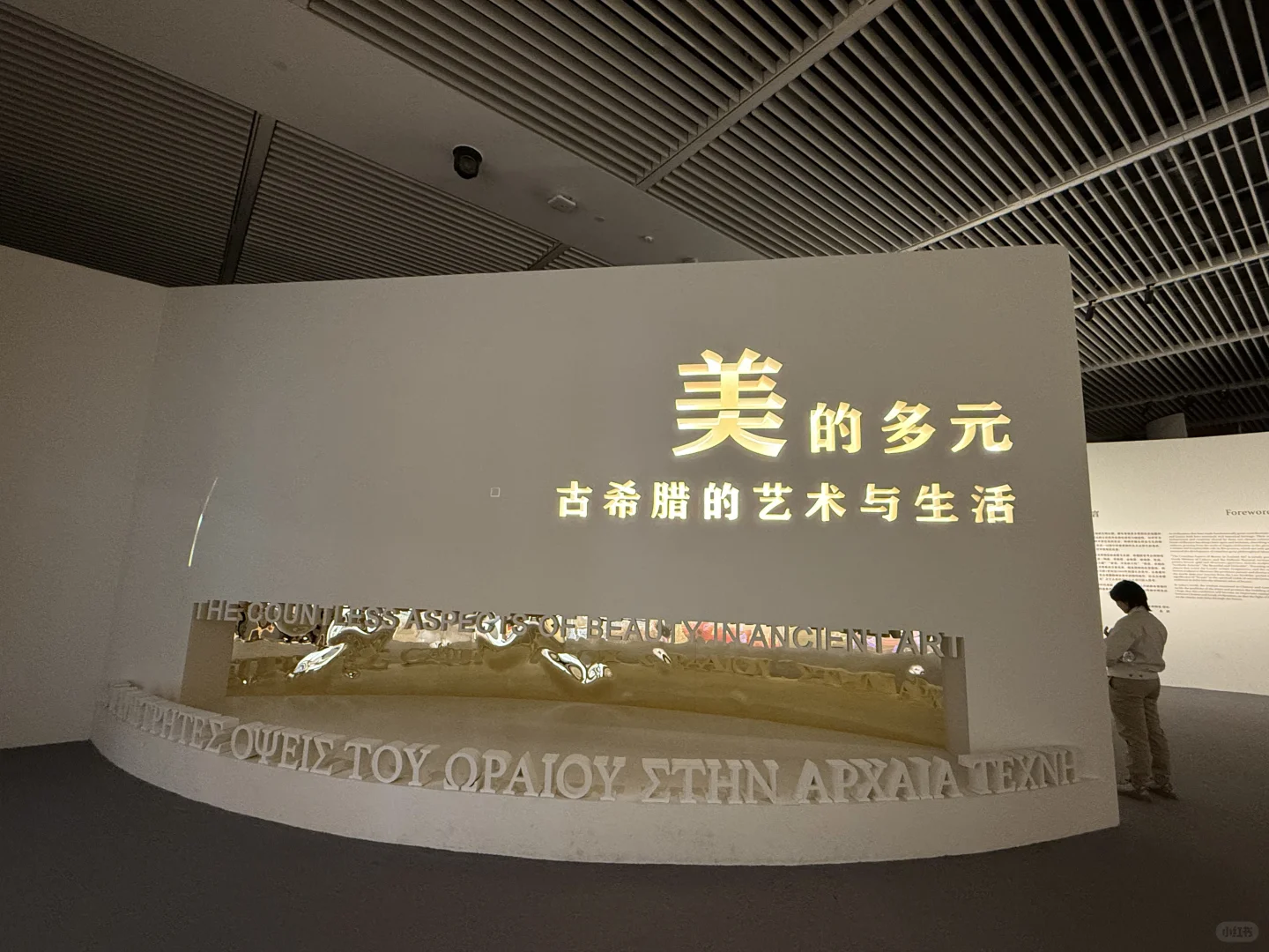 国博攻略之没有抢到基础陈列展怎么办？