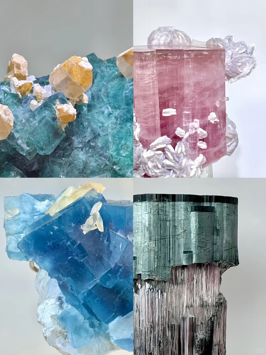 南京矿博会上大自然的壮阔惊奇与小可小爱