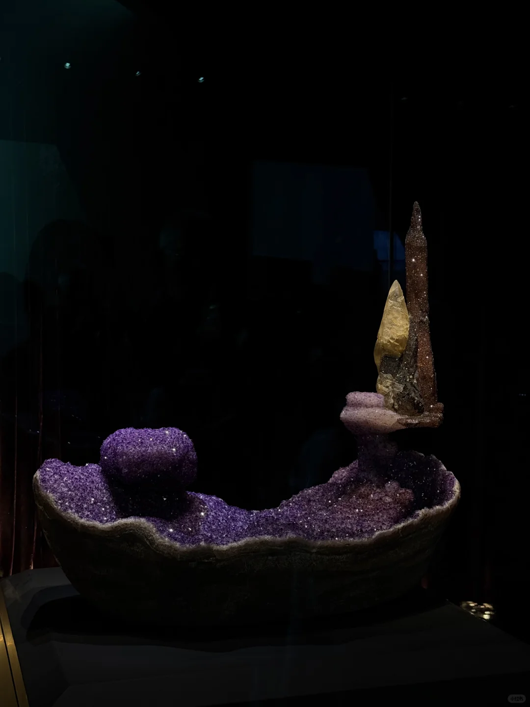 南京矿博会上大自然的壮阔惊奇与小可小爱