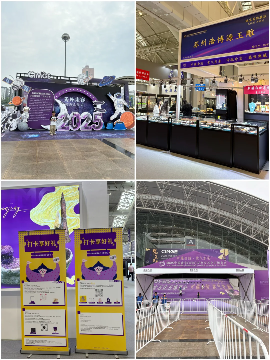 二刷南京矿博会了