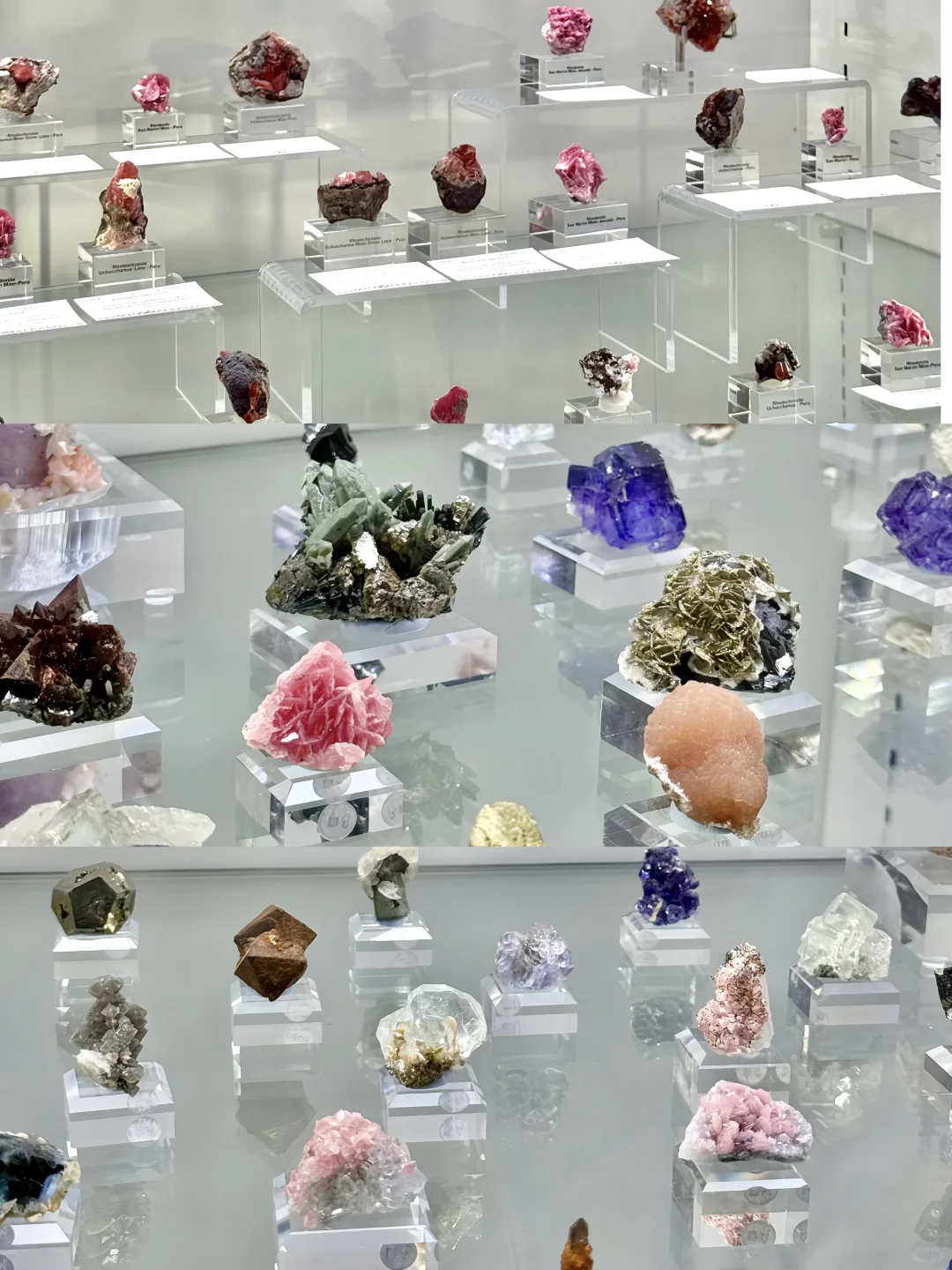 南京矿博会上大自然的壮阔惊奇与小可小爱