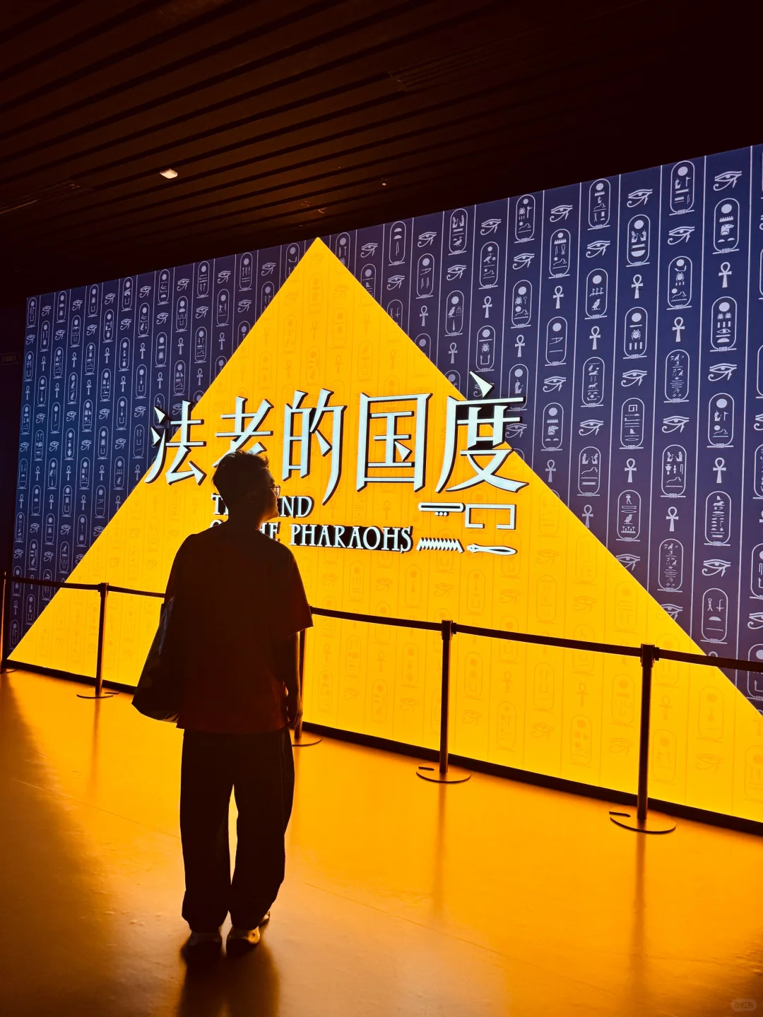 限时90天｜上海埃及展保姆级攻略 避开人挤人