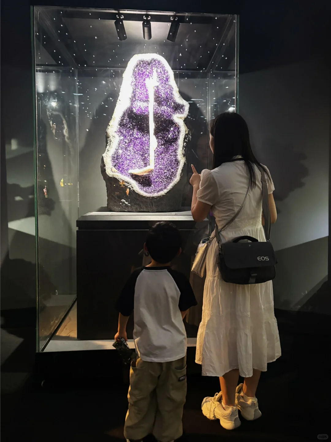 二刷南京矿博会了