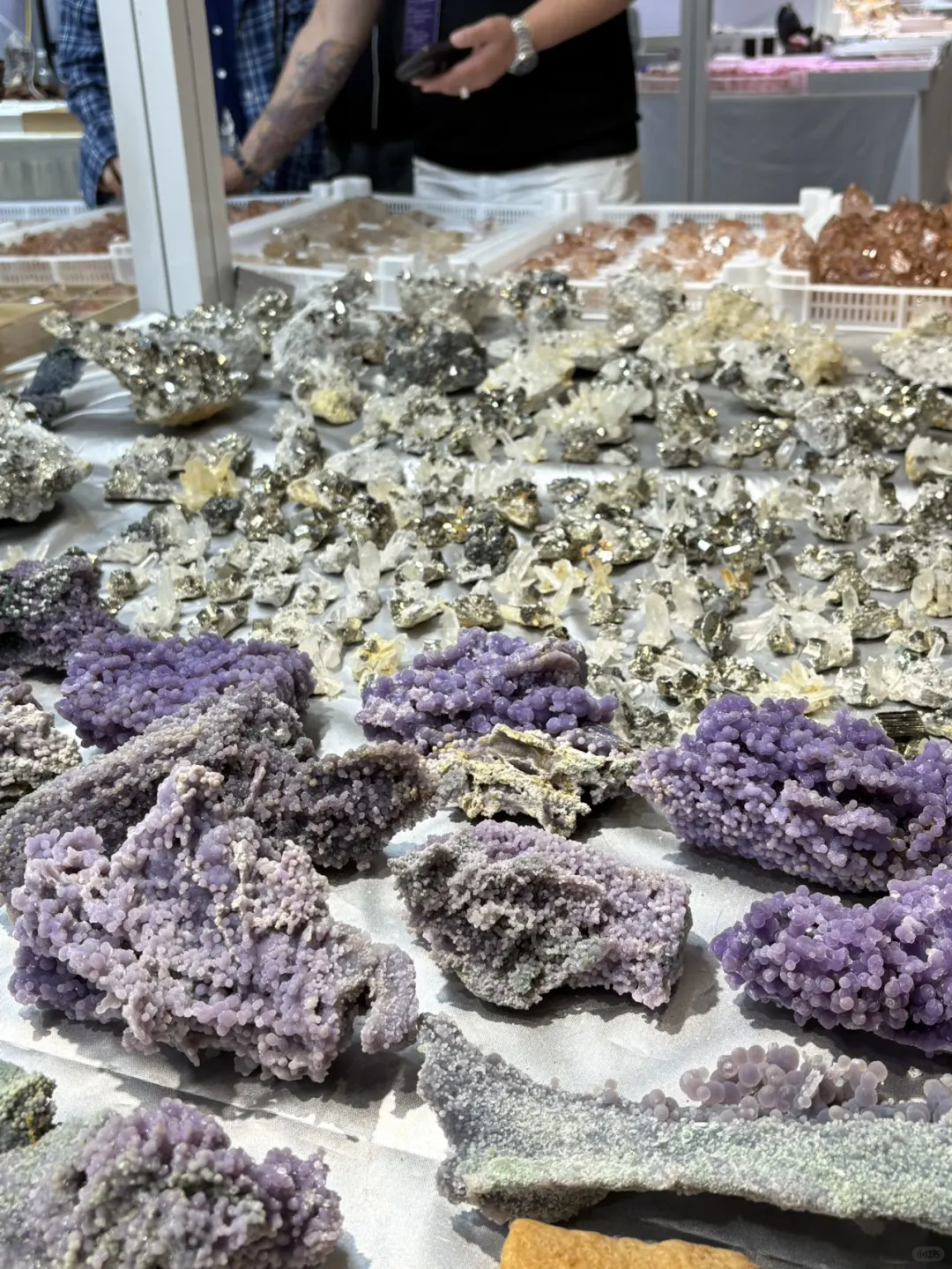 二刷南京矿博会了