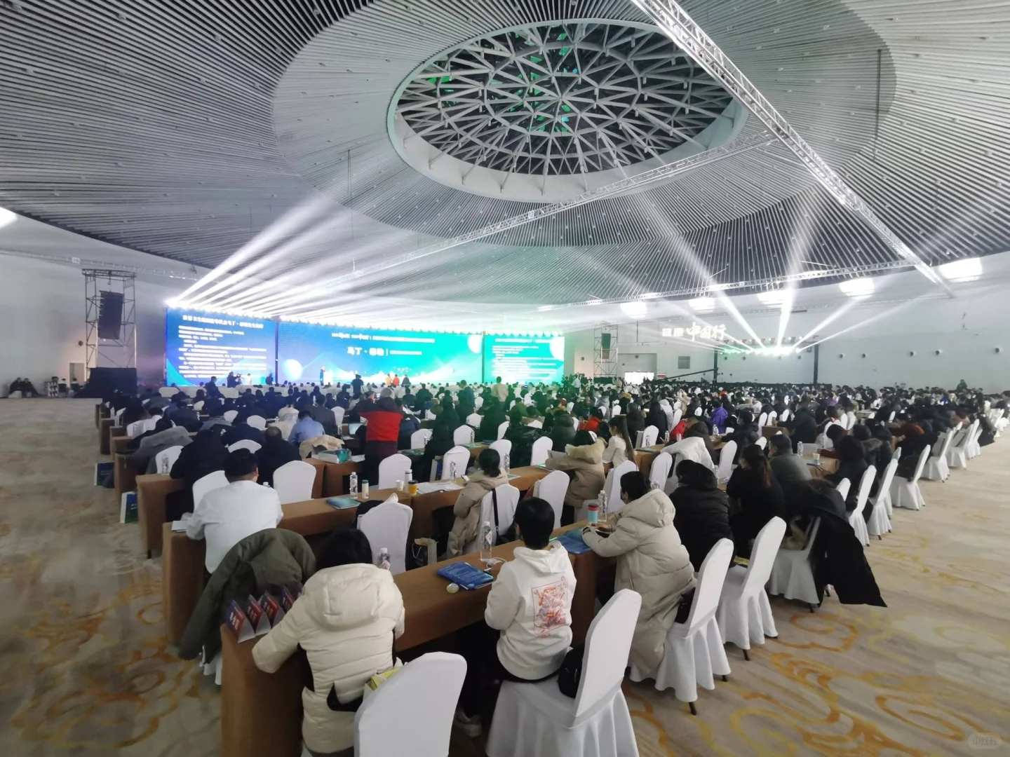 深圳展会服务公司-会议颁奖礼仪小姐-会