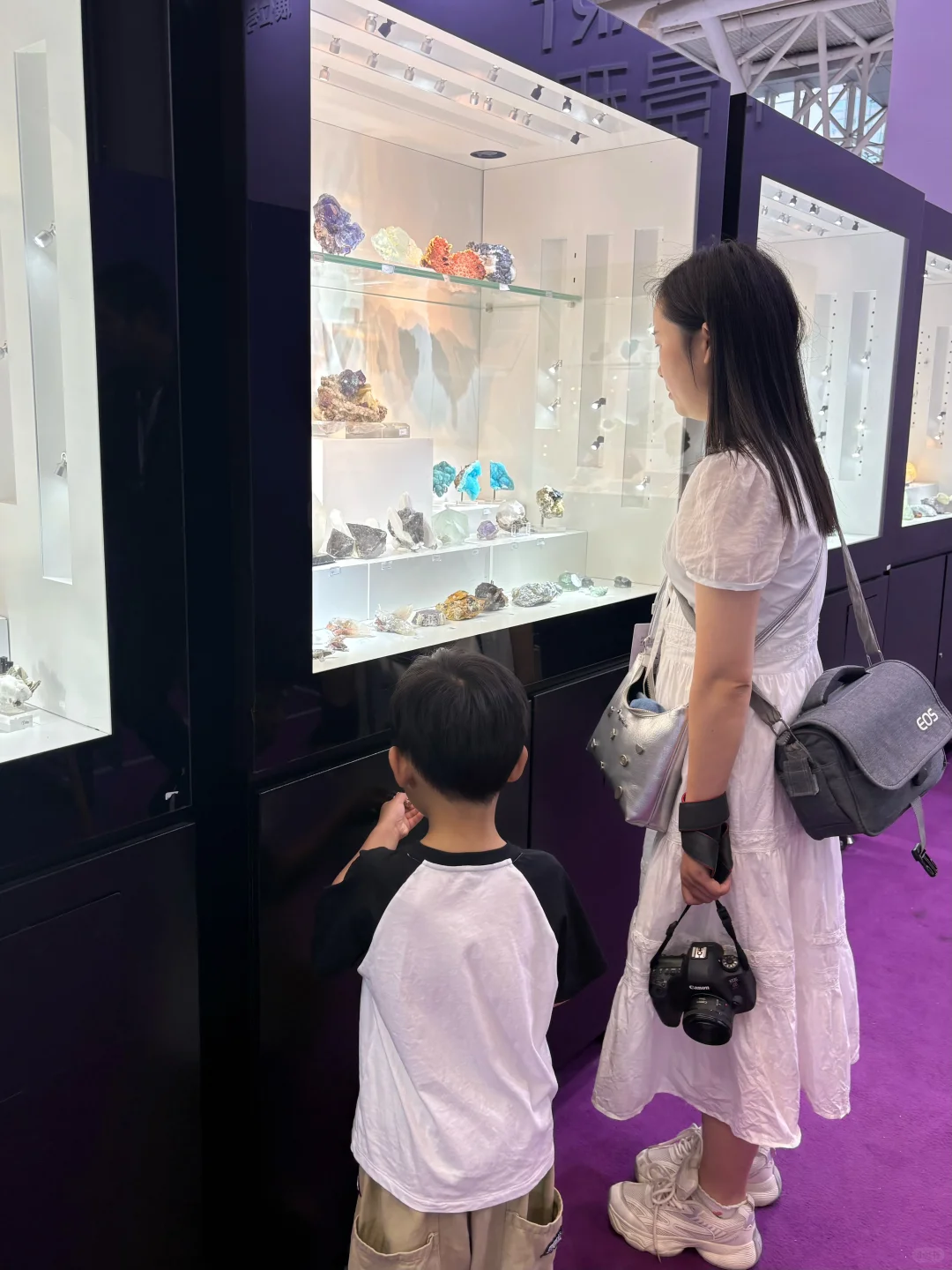 二刷南京矿博会了