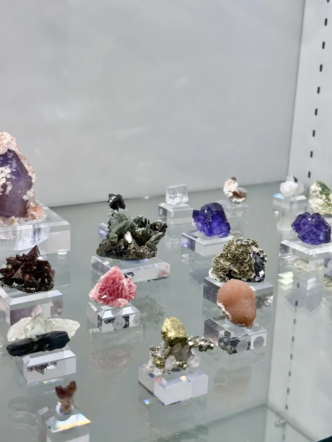 南京矿博会上大自然的壮阔惊奇与小可小爱