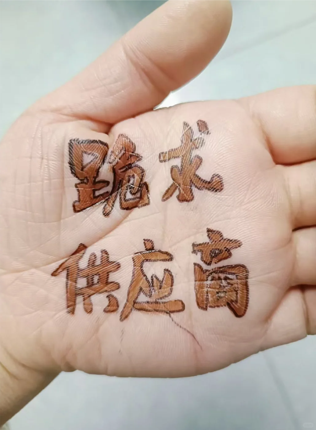 求一个全是供应商的评论区