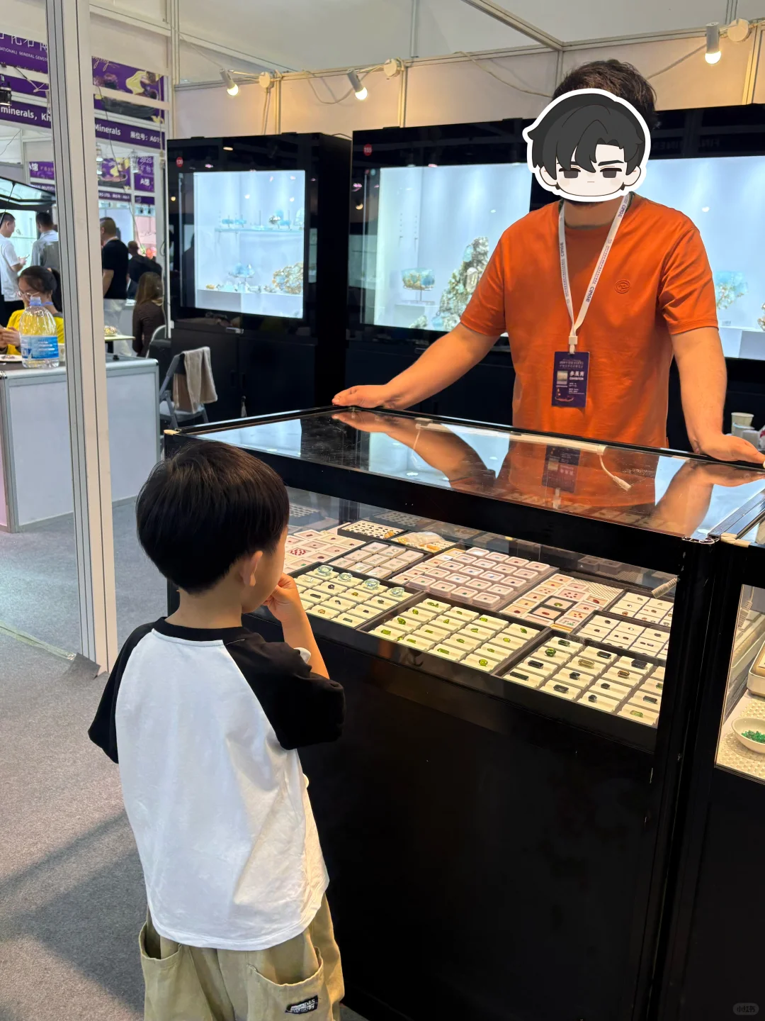 二刷南京矿博会了