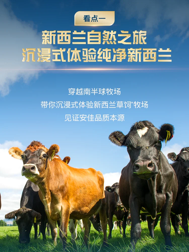 烘焙展这‼️份攻略速速get?