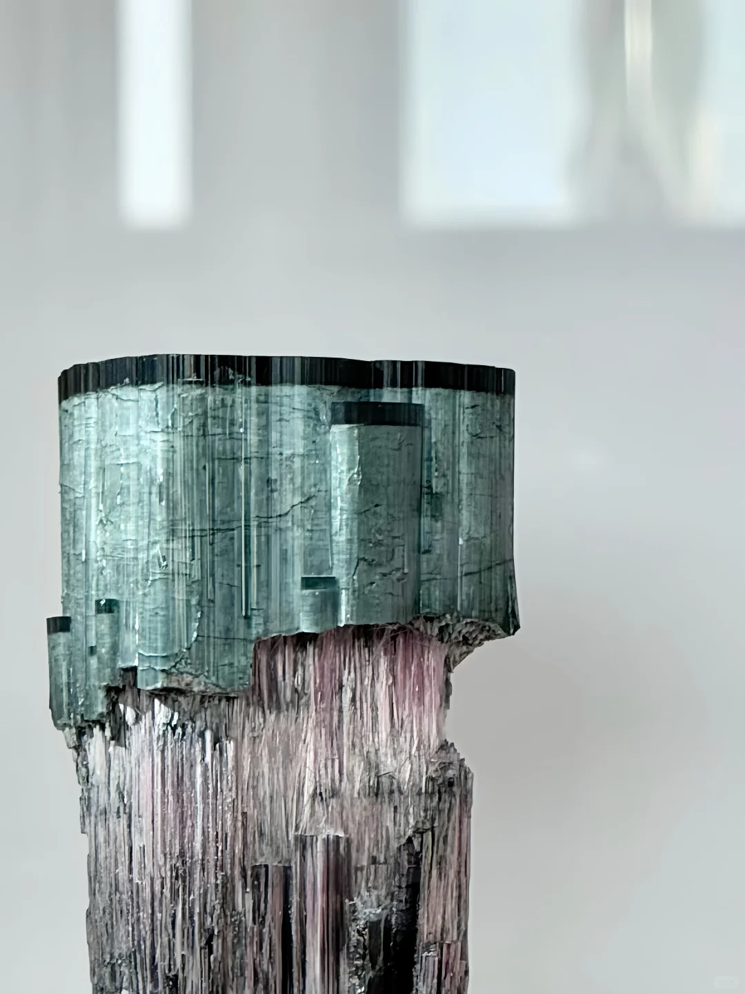 南京矿博会上大自然的壮阔惊奇与小可小爱