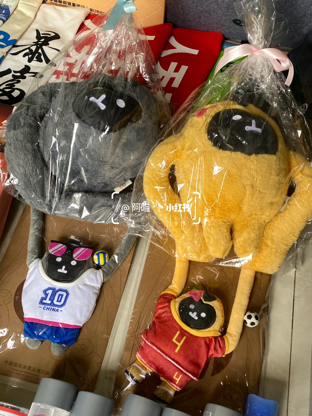 纯羊毛！看我2025消博会打下的江山