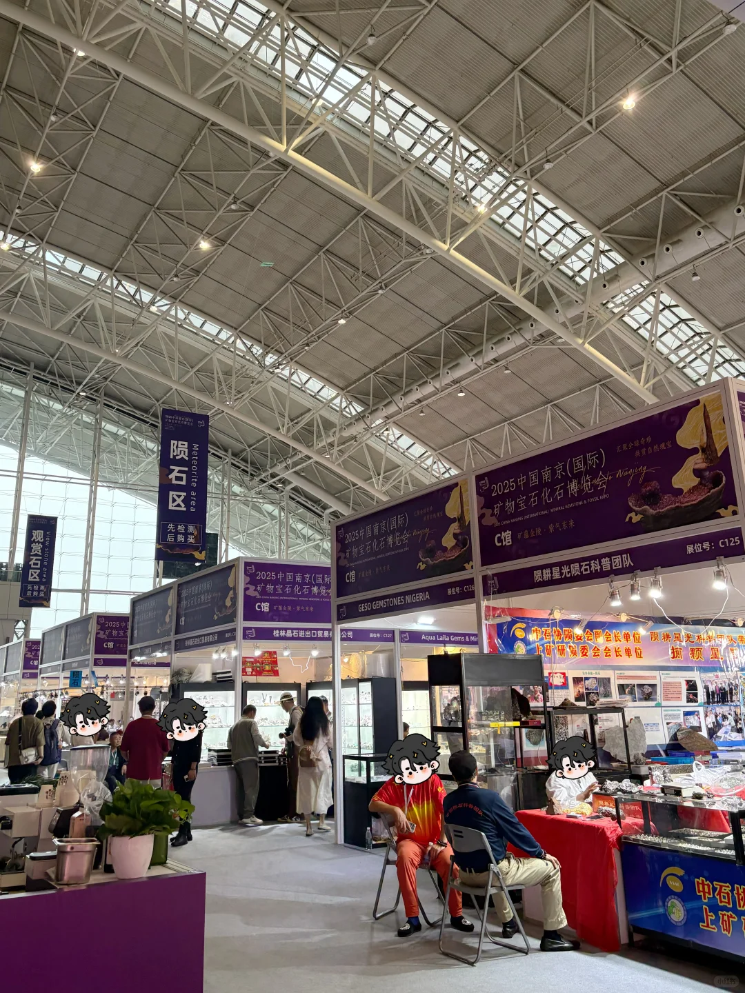 二刷南京矿博会了