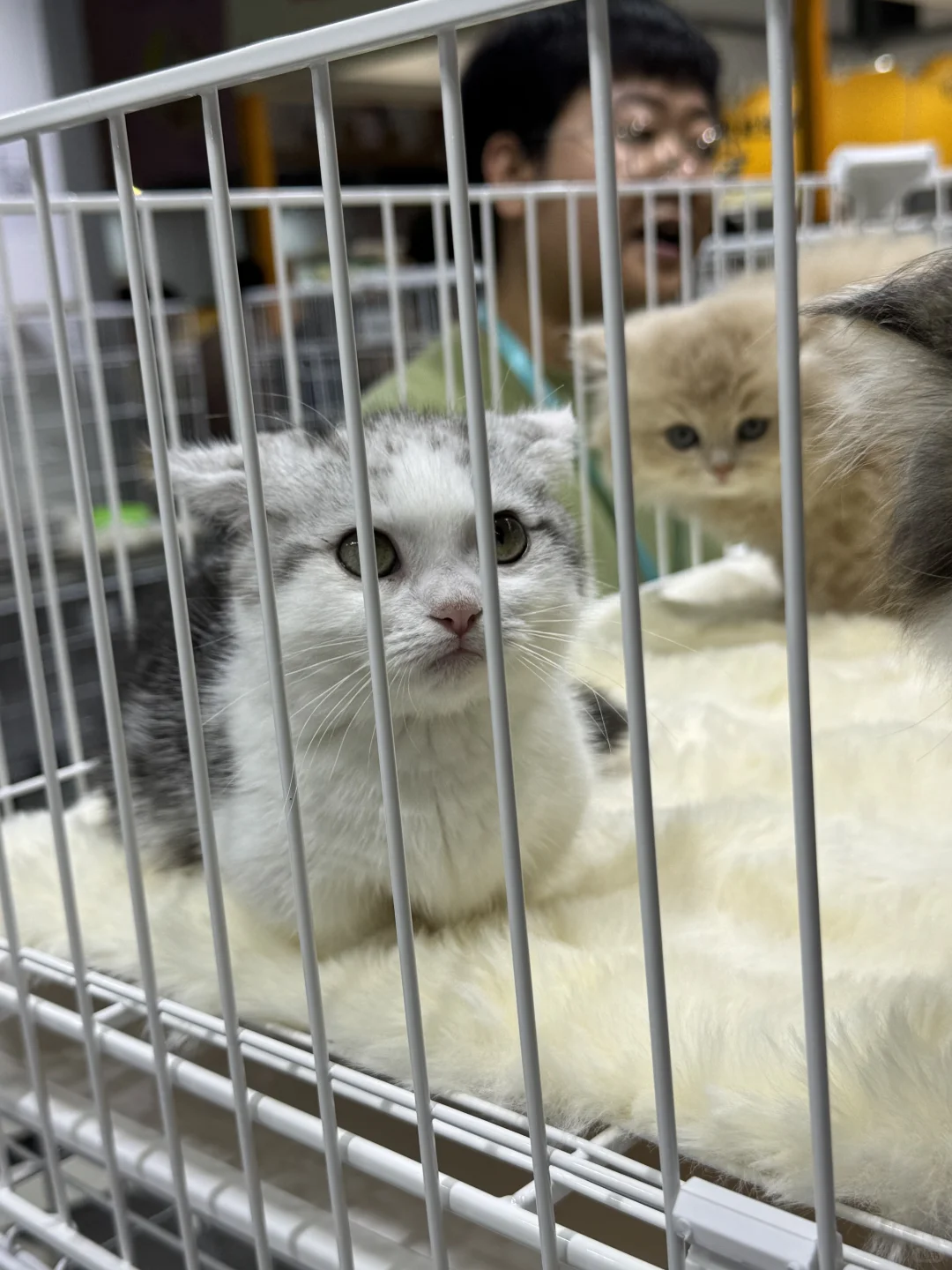 跨境小白选品之展会