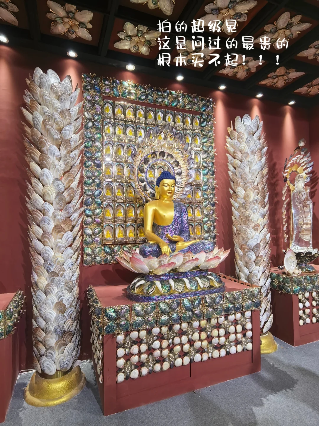 哇撒！大周末姐姐居然带我去…