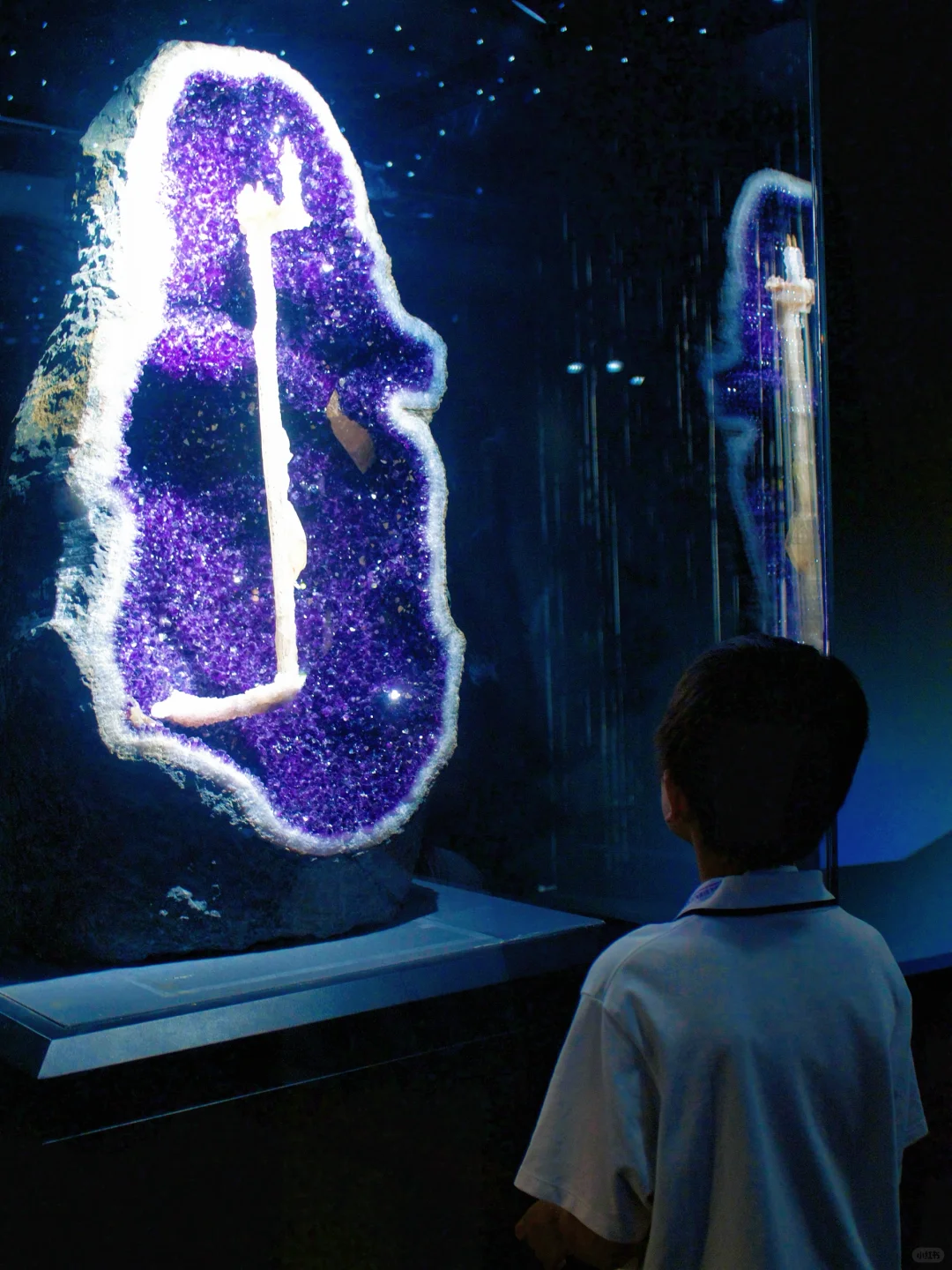 南京遛娃｜小小地质迷不能错过的免费展览