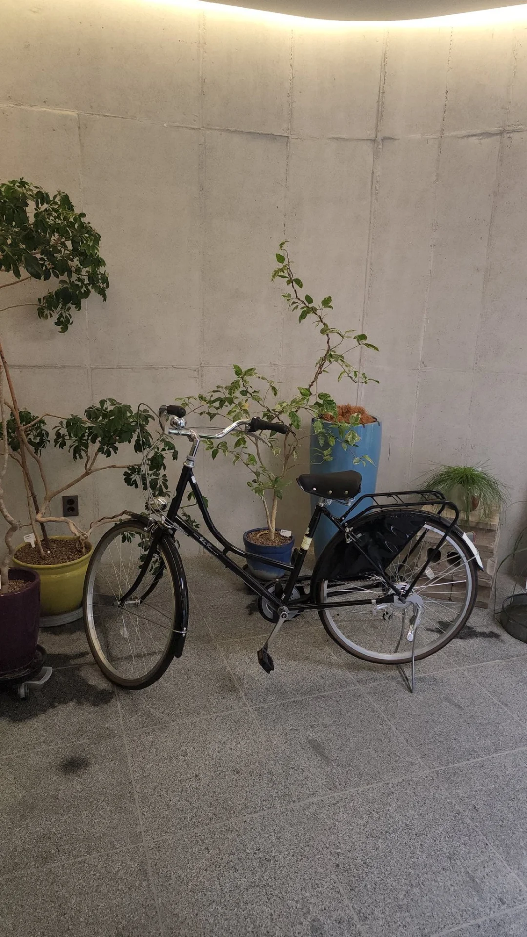 wish展会 属性不强的壁纸?