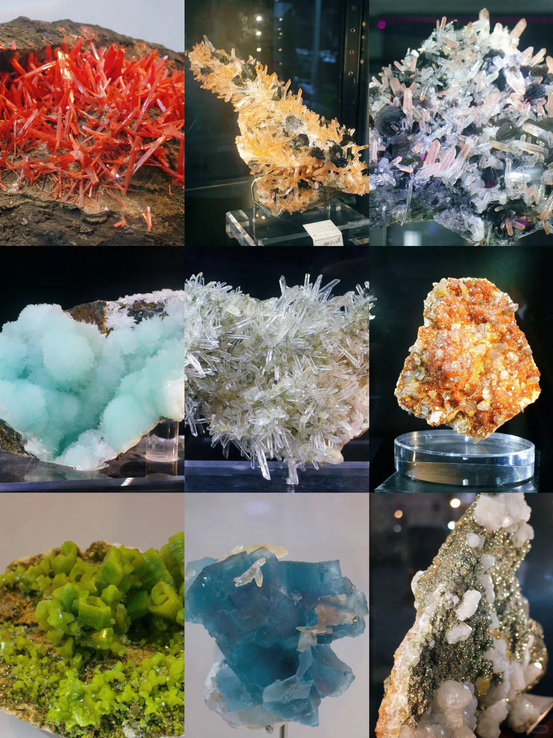 南京遛娃｜小小地质迷不能错过的免费展览