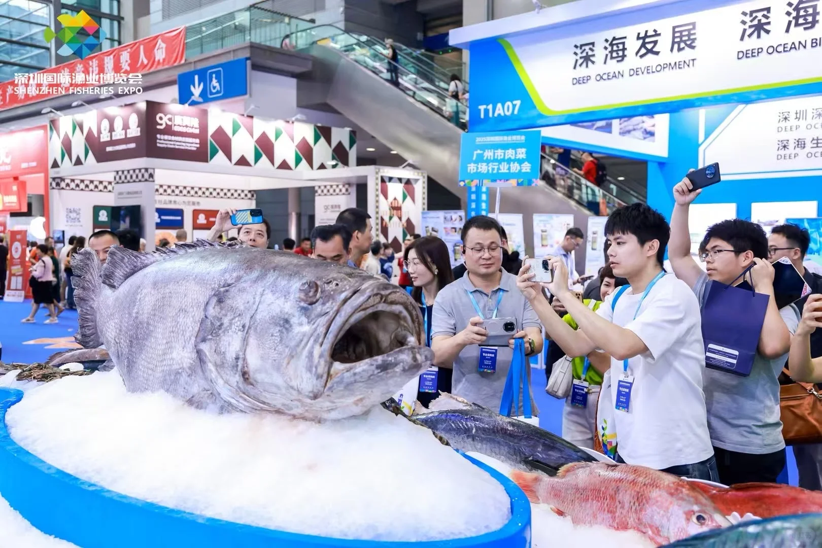 ?深圳展会客户爸爸看过来！3天30人影像组！