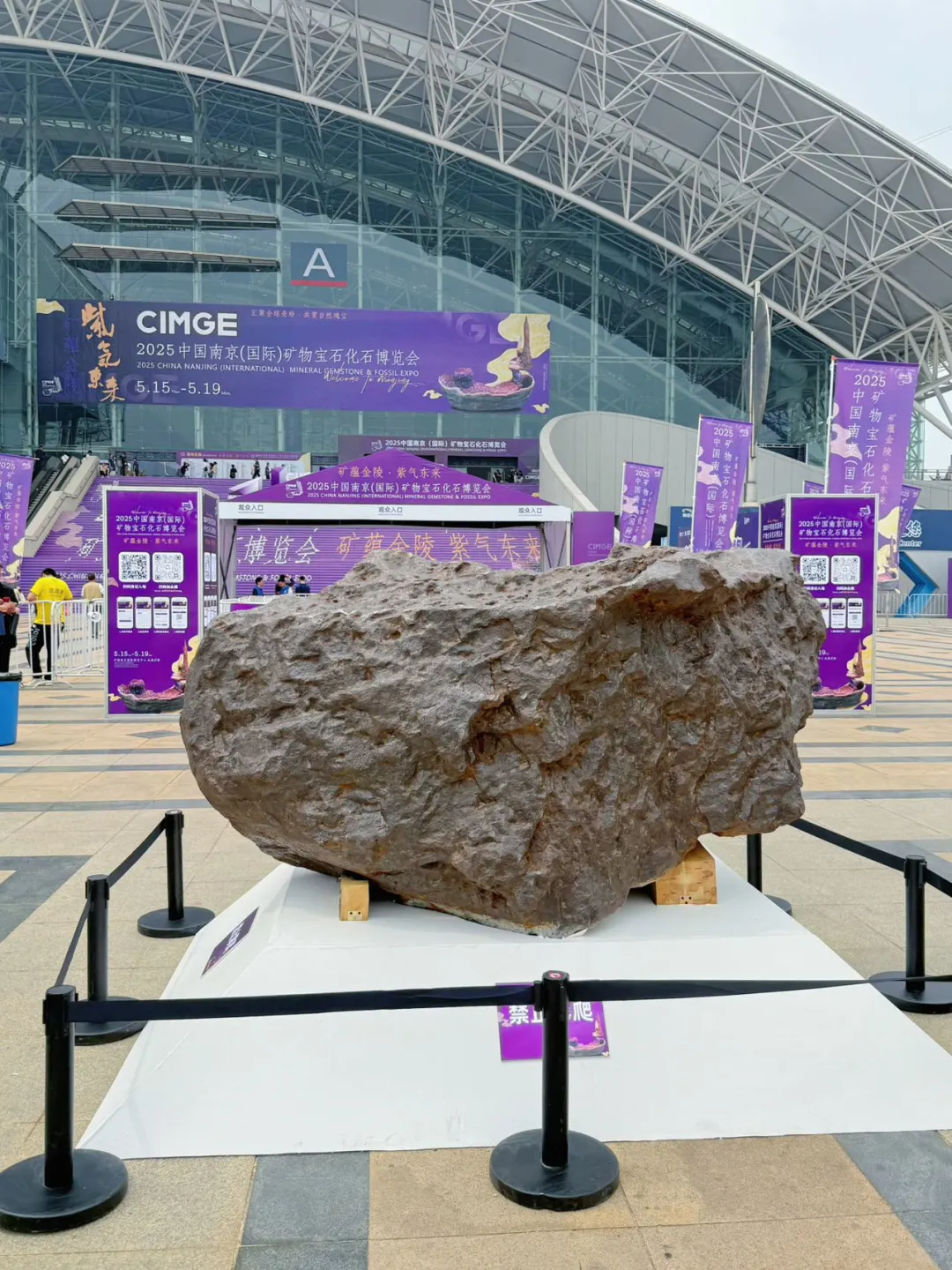 南京矿博会来啦！遛娃好玩又好逛✨