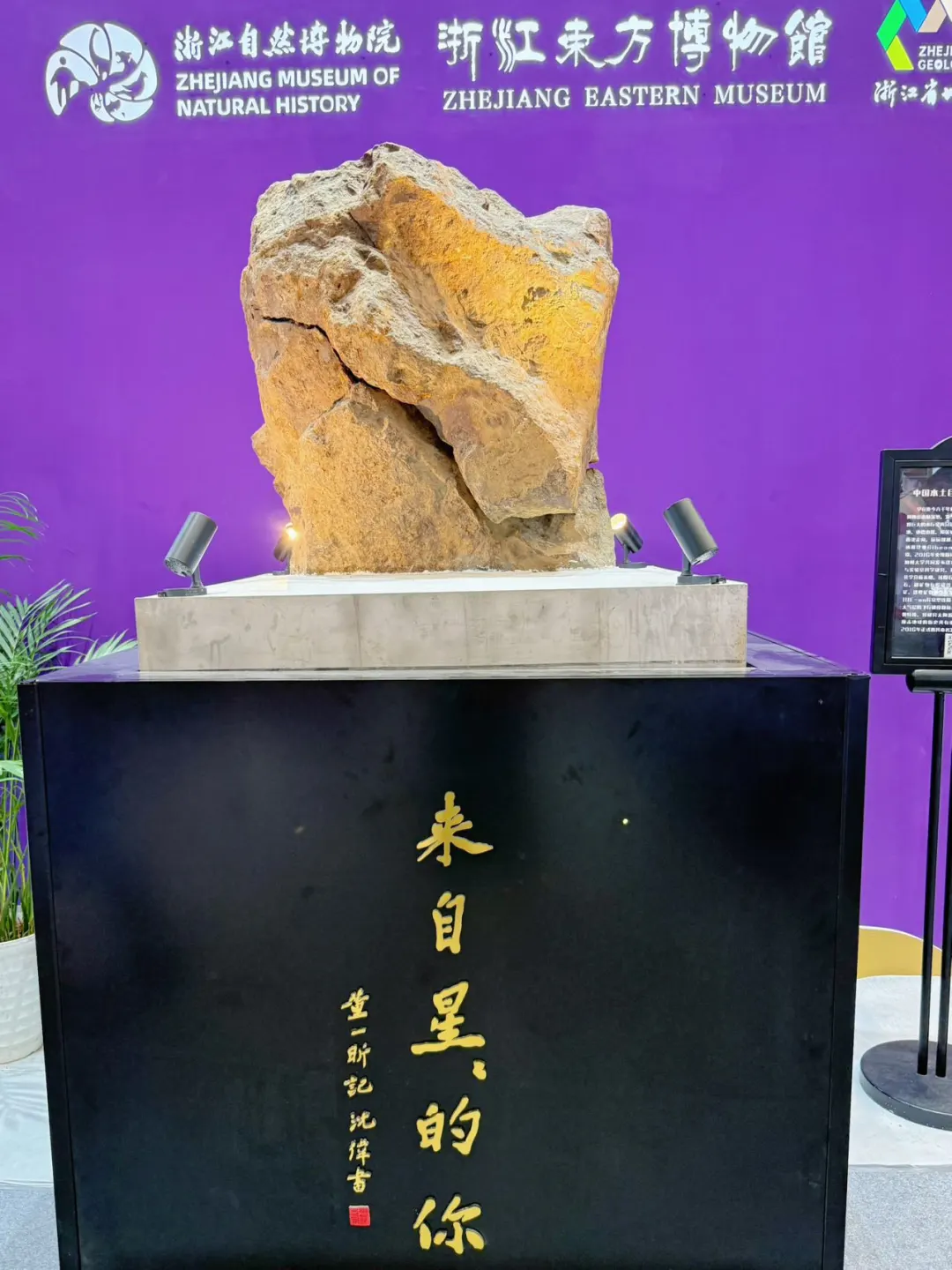 南京矿博会来啦！遛娃好玩又好逛✨