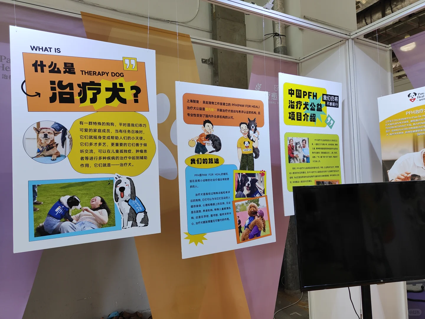 疗愈博览会：现场和行业一样混乱