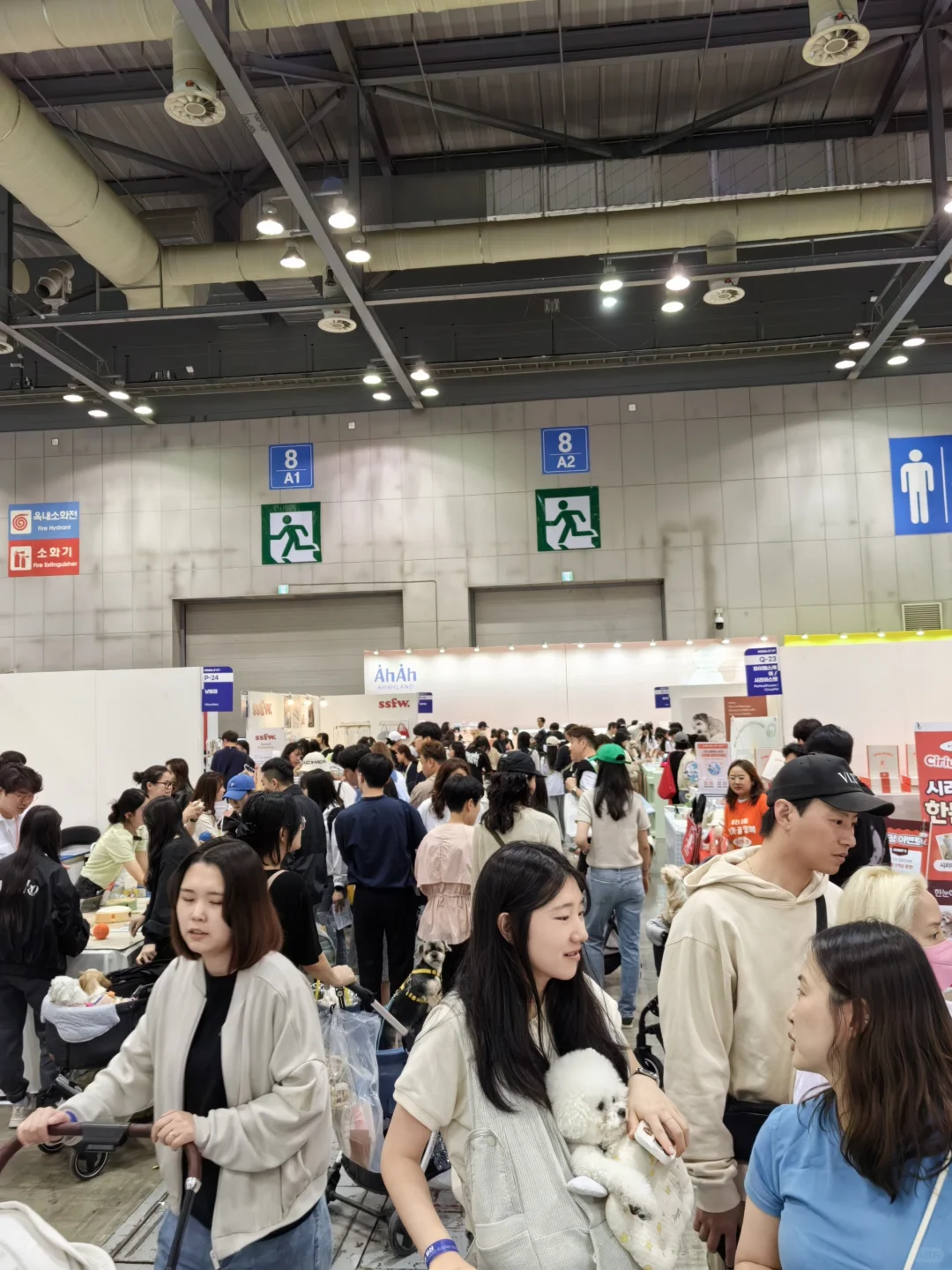 Kintex Mega zoo展会