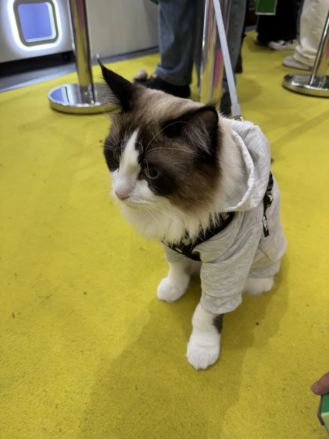 跨境小白选品之展会