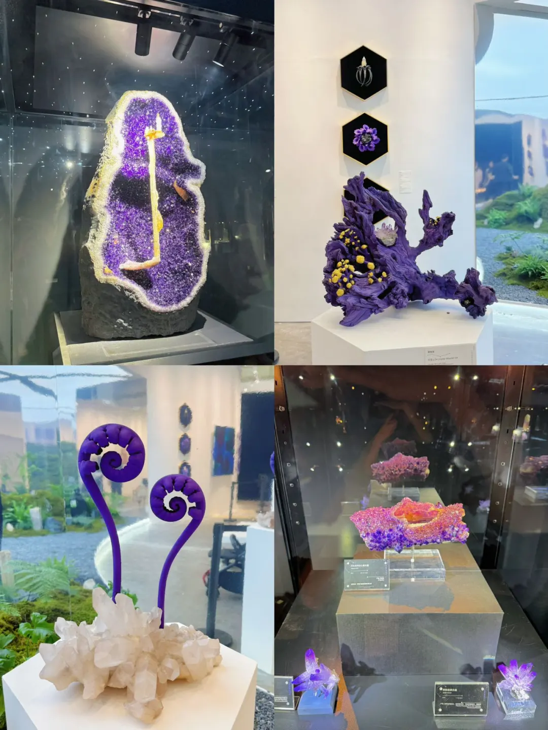 南京矿博会来啦！遛娃好玩又好逛✨