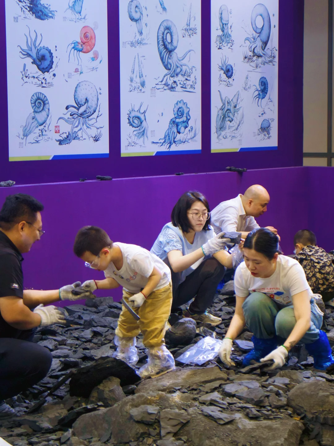 南京遛娃｜小小地质迷不能错过的免费展览