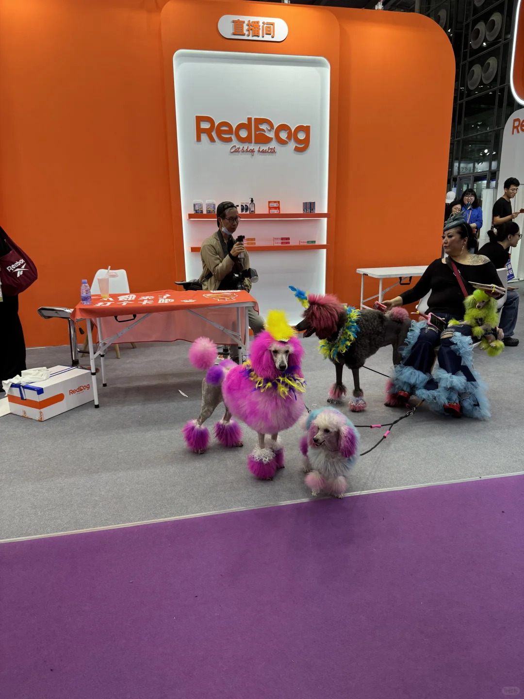 跨境小白选品之展会