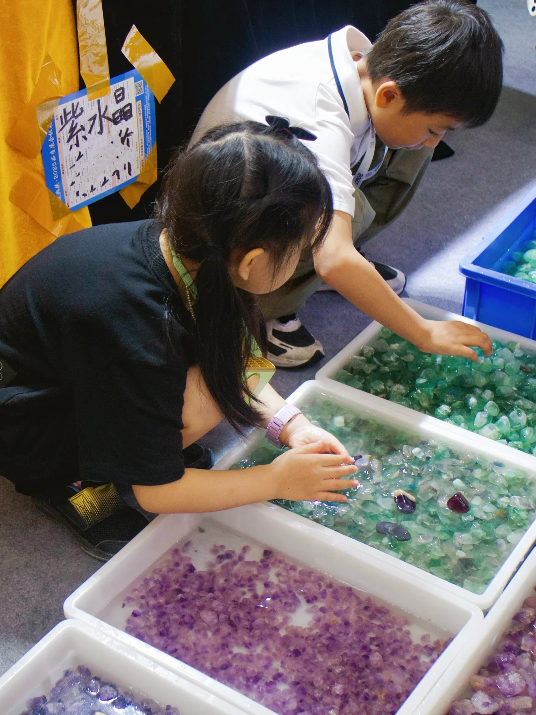 南京遛娃｜小小地质迷不能错过的免费展览