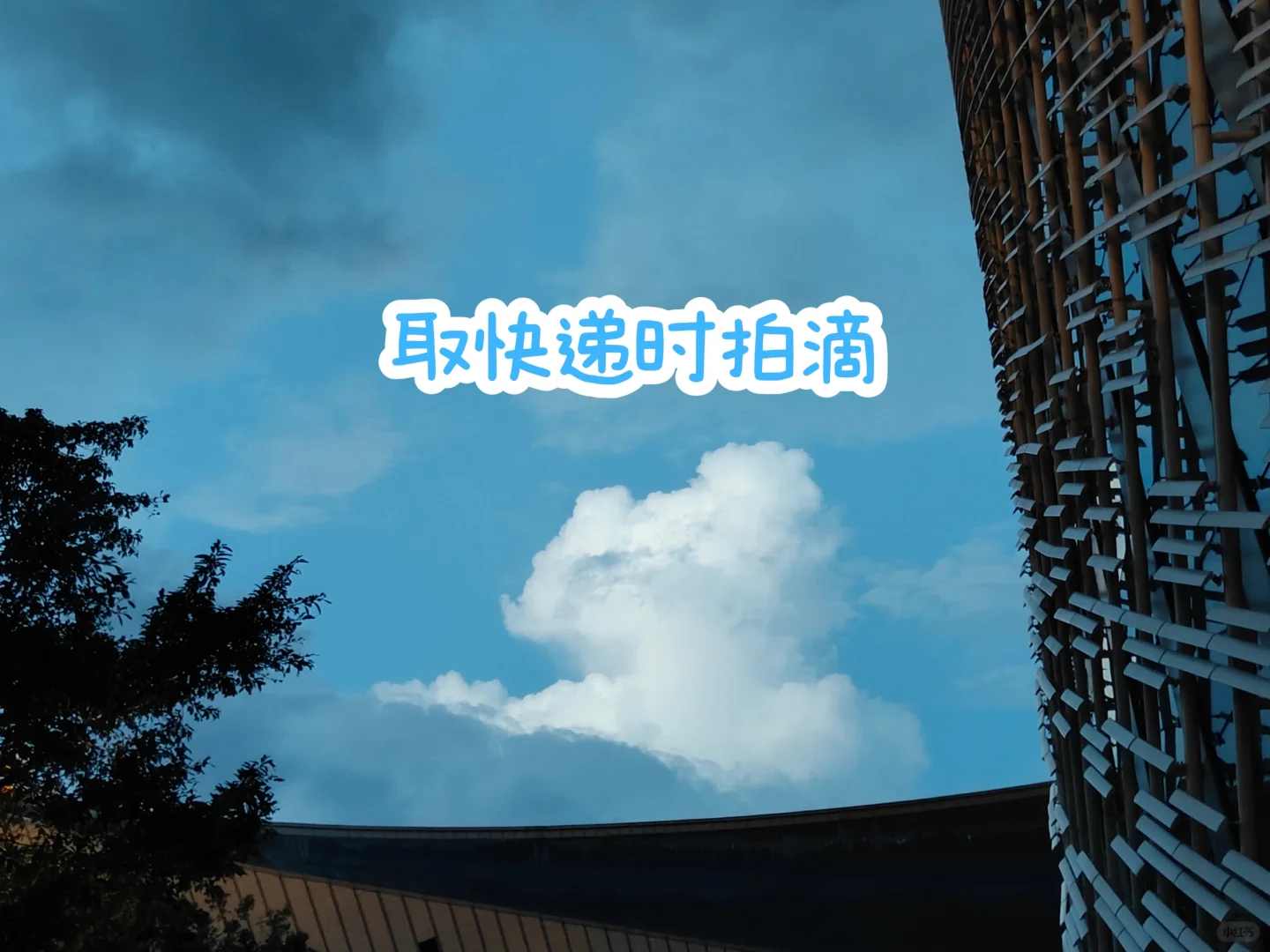 大三会展策划与管理实习日常Plog