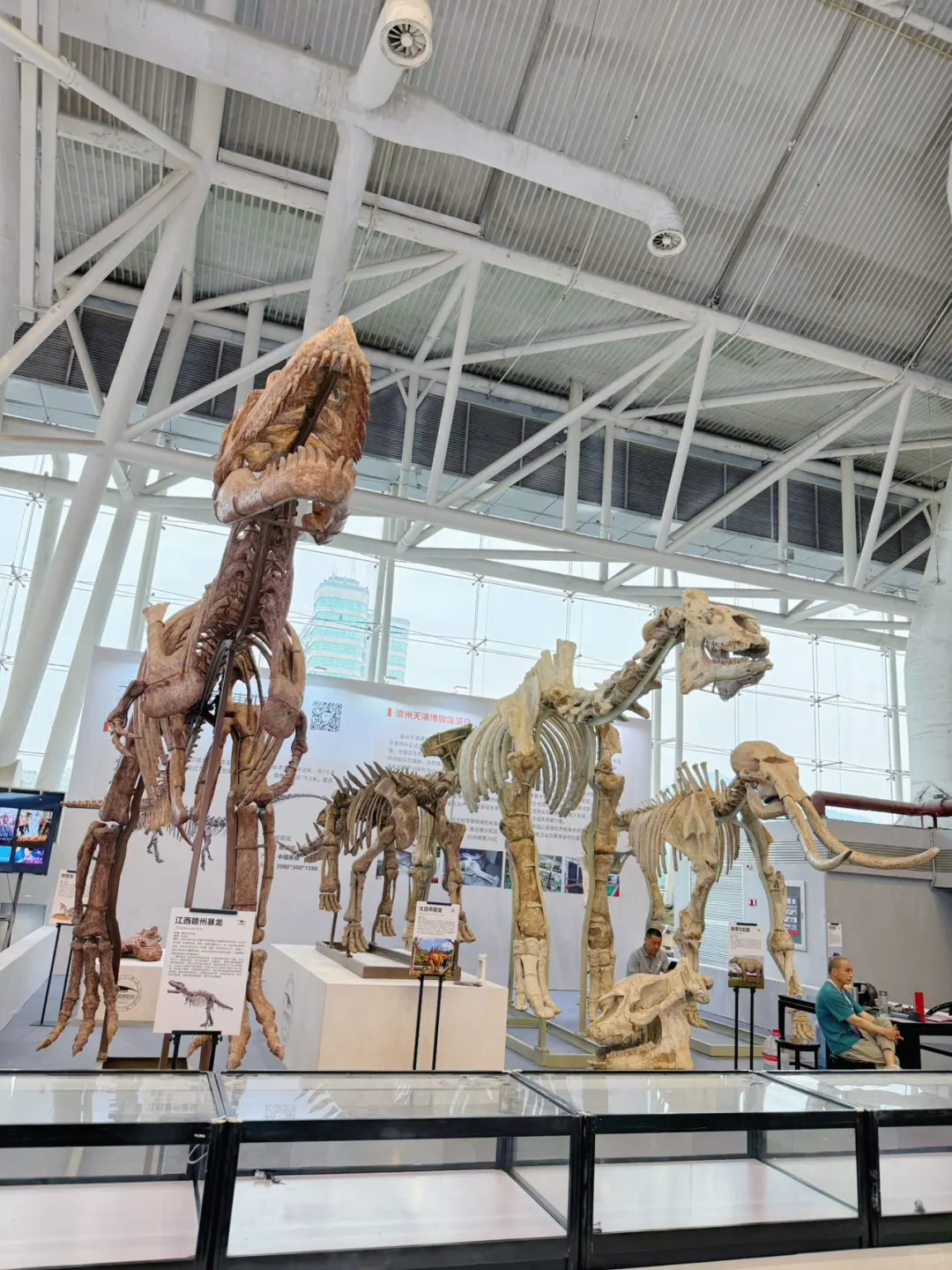 南京矿博会来啦！遛娃好玩又好逛✨