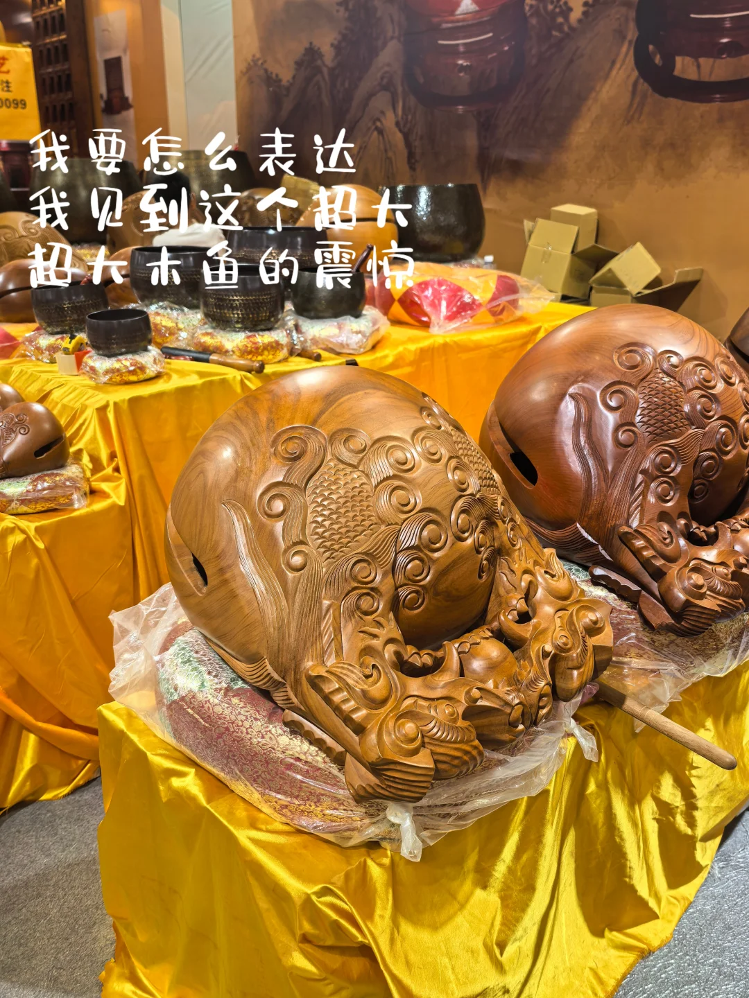 哇撒！大周末姐姐居然带我去…