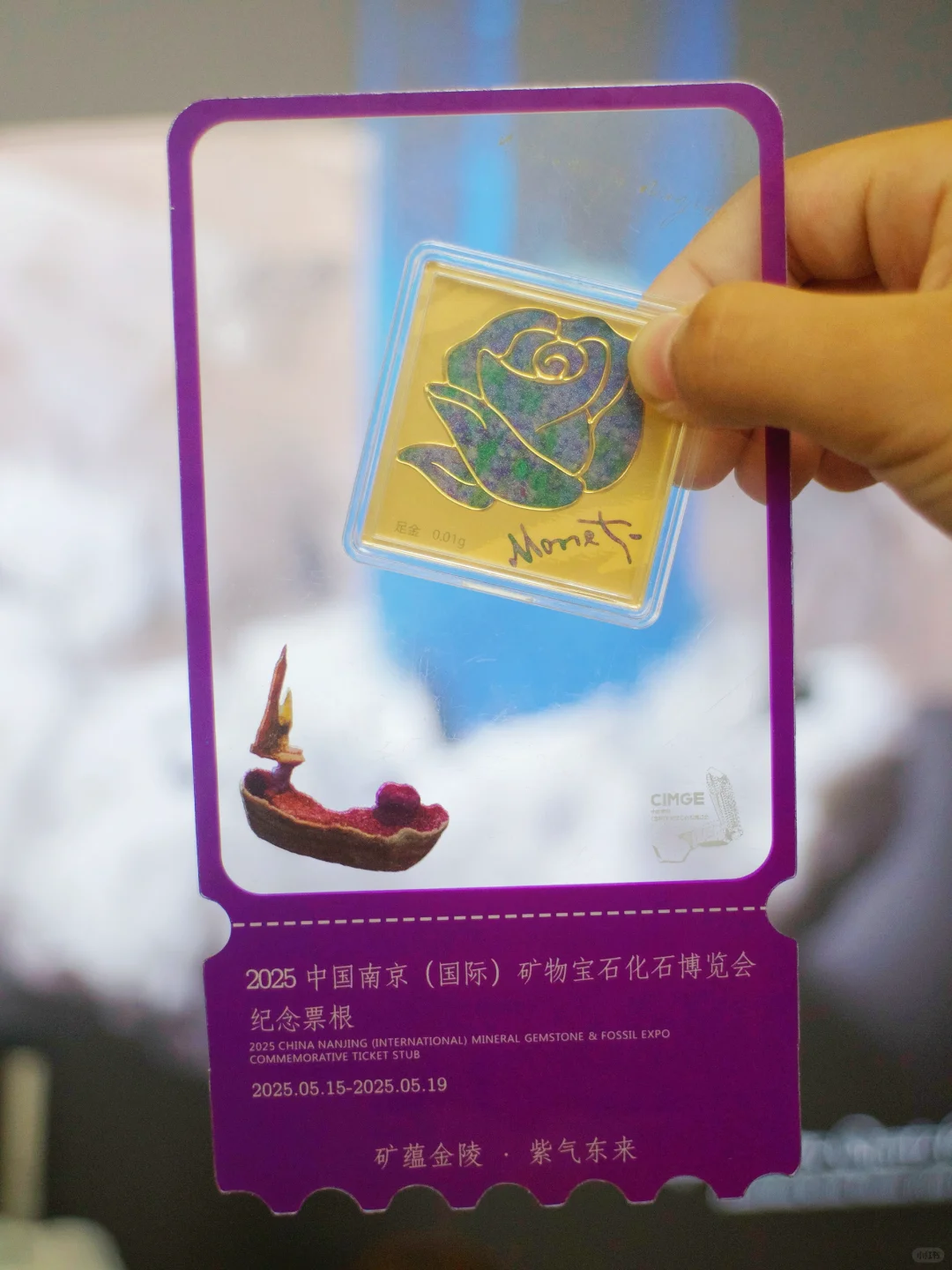 南京遛娃｜小小地质迷不能错过的免费展览